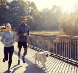 Jogging with your dog? What equipment and accessories does the quadruped need
