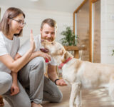 4 ways to keep your dog active even on cold days