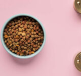 Wet food or dry cat food. Advantages and disadvantages