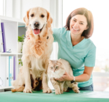 Reasons why prevention is the best investment