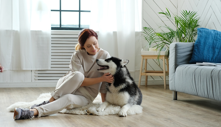 Signs of separation anxiety in dogs