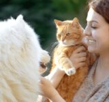 5 signs that your pet needs more attention and interaction