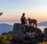 Hiking with the dog. What equipment and accessories does the quadruped need