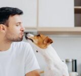 Maintain a safe home for your dog