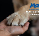 The best nutrition for your pets