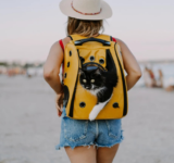 What do you know about the main parasite species that put your pets’ health at risk during travel?