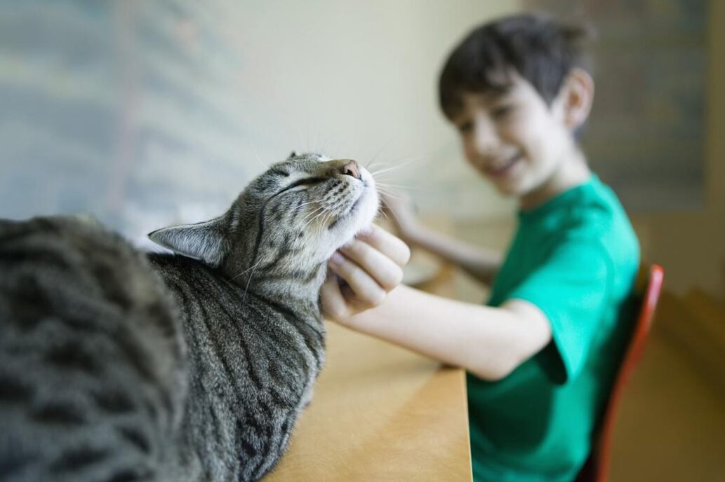 How Cats Purr and Why: What Might Your Cat's Purr Tell You?