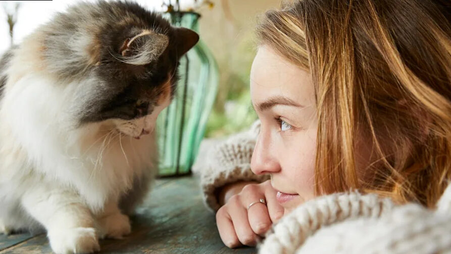 Small gestures that make your cat's day more beautiful