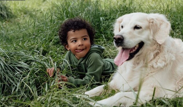 What benefits can a dog offer us and what are its needs